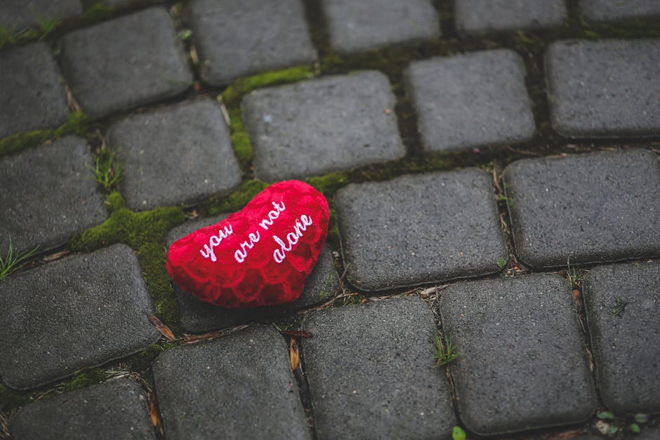 A red heart-shaped pillow with 'you are not alone' text on mossy cobblestone pavement.