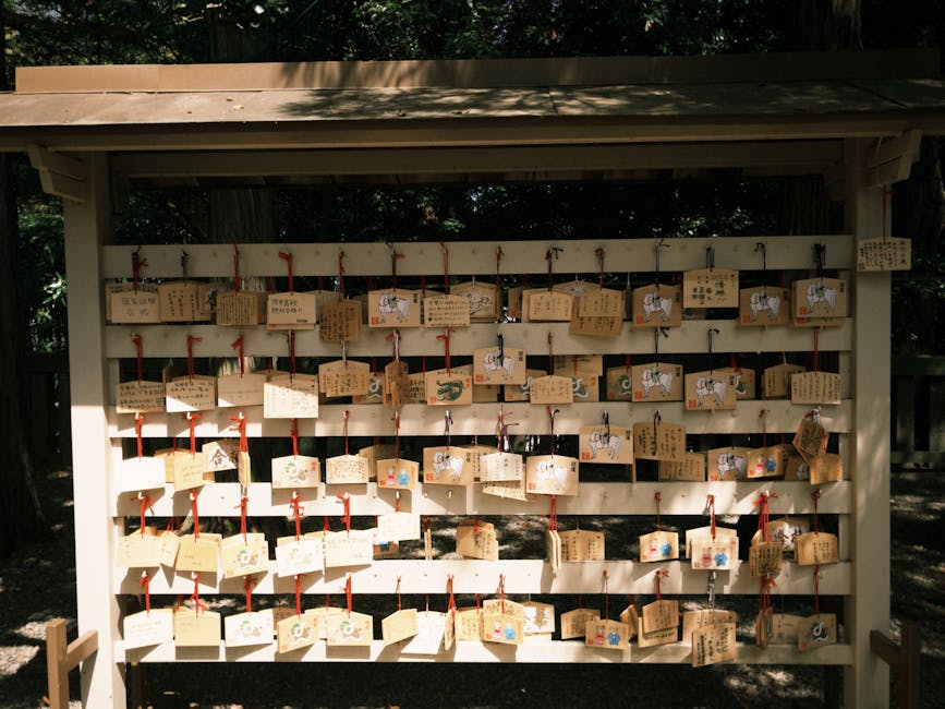 Ema plaques with wishes at a Japanese shrine, beautifully lit by sunlight.