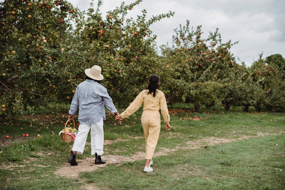 Back view full body of unrecognizable mother and daughter holding hands while strolling together along trees with basket of apples