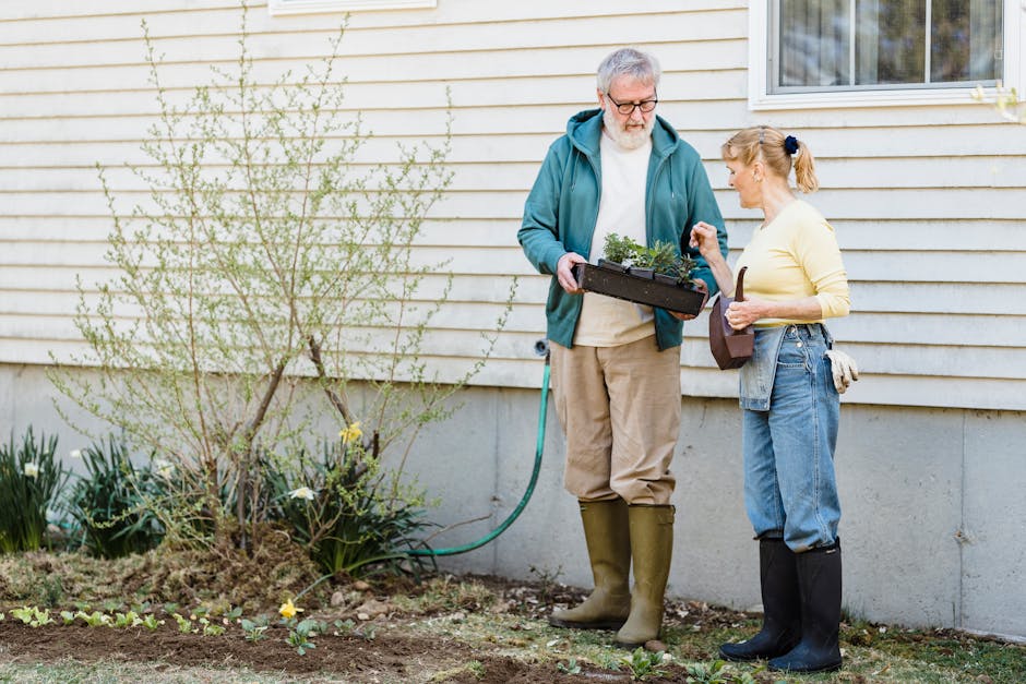 Full length of senior male showing box with seedlings to wife while standing near wooden house in rain boots